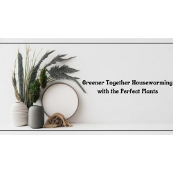 Greener Together Housewarming with the Perfect Plants